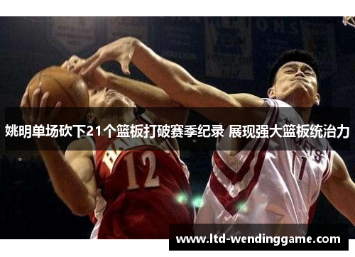 姚明单场砍下21个篮板打破赛季纪录 展现强大篮板统治力