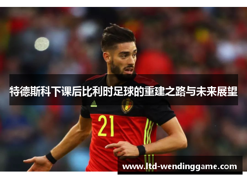 特德斯科下课后比利时足球的重建之路与未来展望