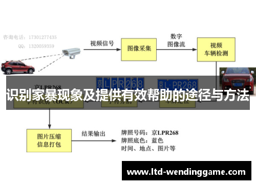 识别家暴现象及提供有效帮助的途径与方法