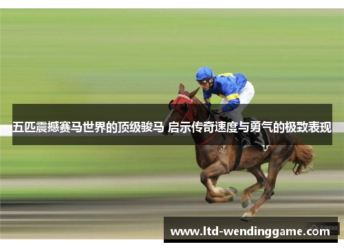 五匹震撼赛马世界的顶级骏马 启示传奇速度与勇气的极致表现