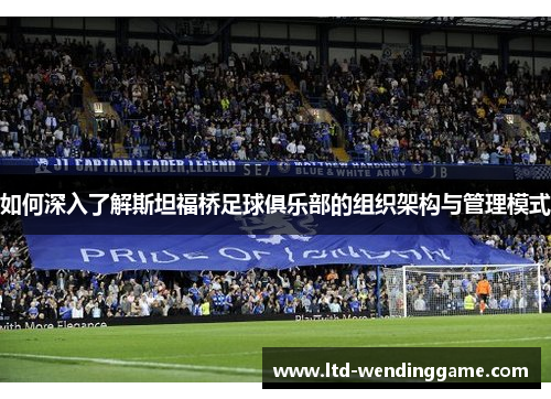 如何深入了解斯坦福桥足球俱乐部的组织架构与管理模式