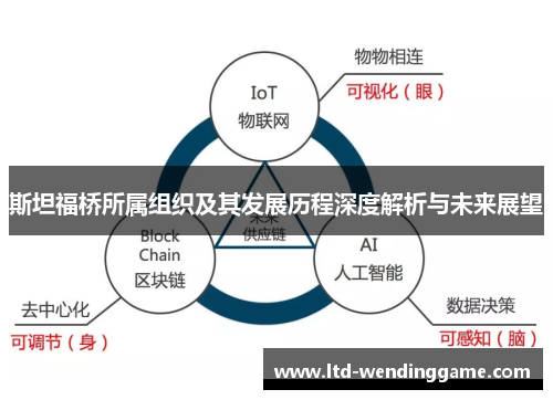 斯坦福桥所属组织及其发展历程深度解析与未来展望