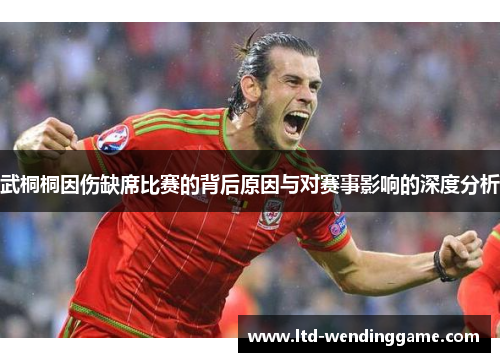 武桐桐因伤缺席比赛的背后原因与对赛事影响的深度分析