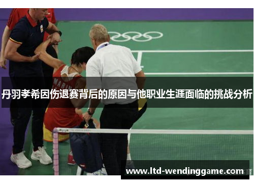 丹羽孝希因伤退赛背后的原因与他职业生涯面临的挑战分析